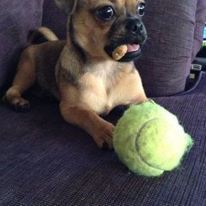 Meet your Posher, Lucia